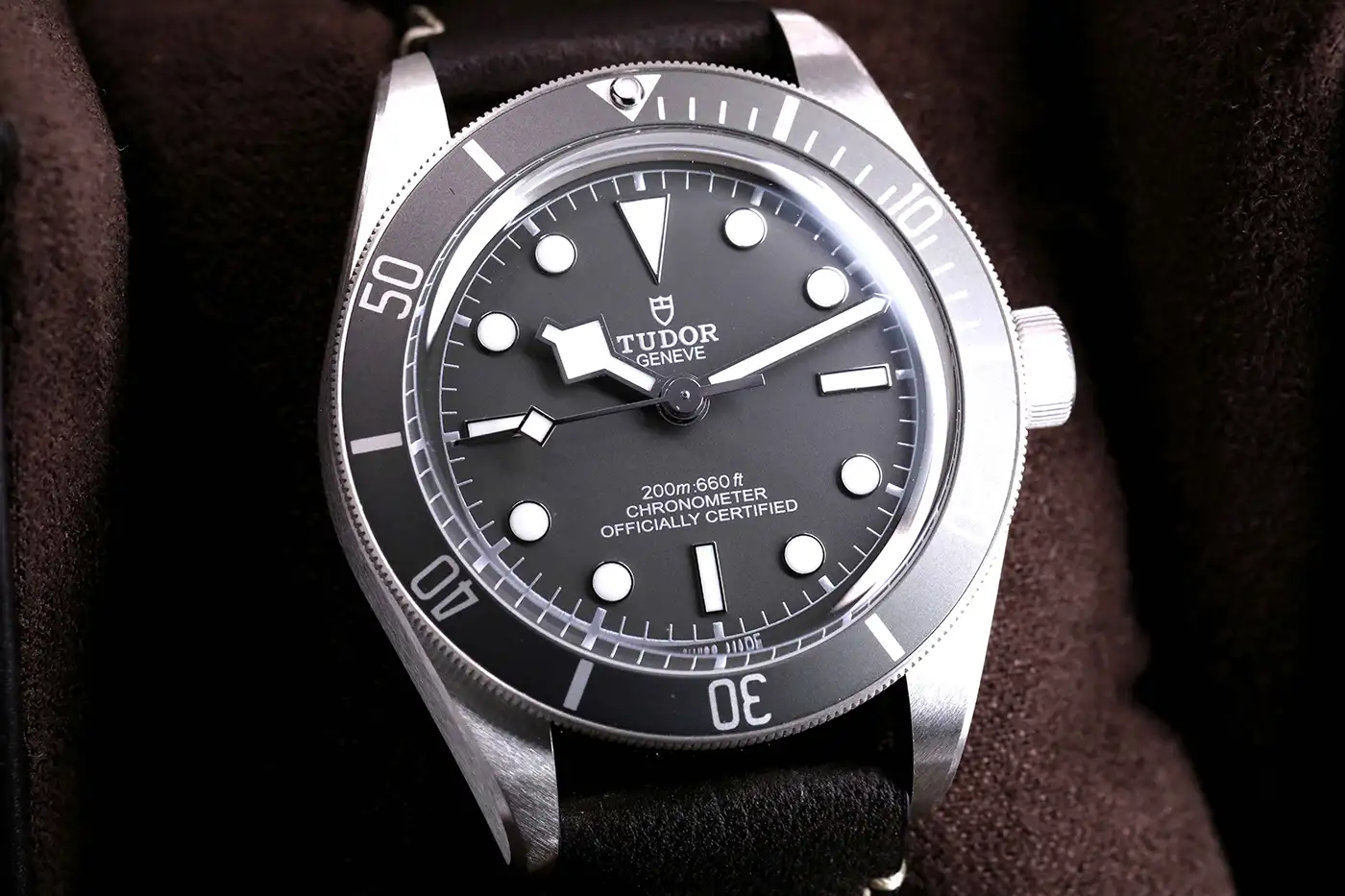 tudor Recent Years